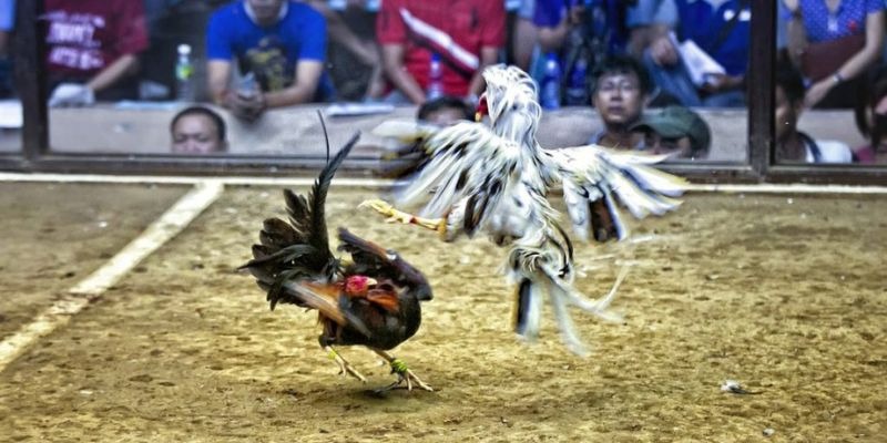 nohu club xổ số miền bắc hôm quả