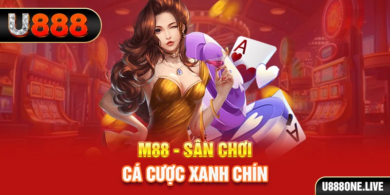 nohu club gà chọi cậu thanh