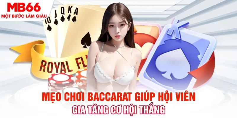 nohu club đá gà 88