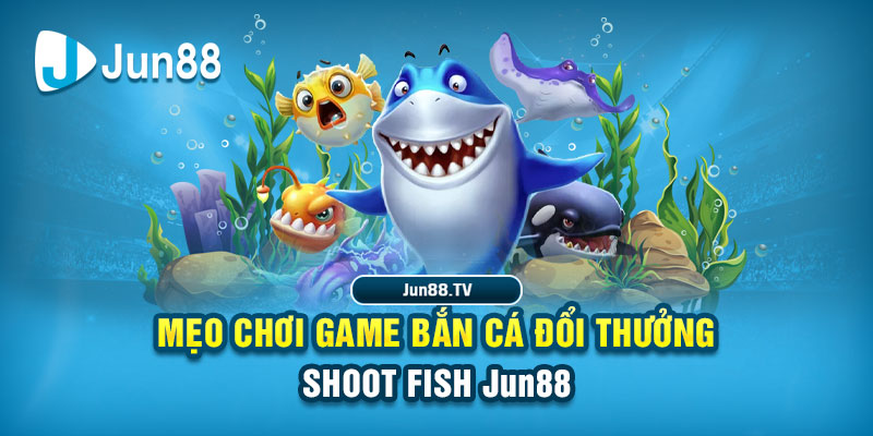 nohu club tai game danh bai bigkool ve may tinh