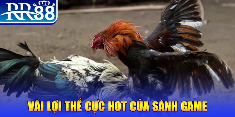 nohu club nổ hủ là trò gì