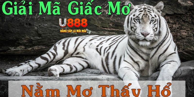 nohu club xổ số kiến thiết miền bắc