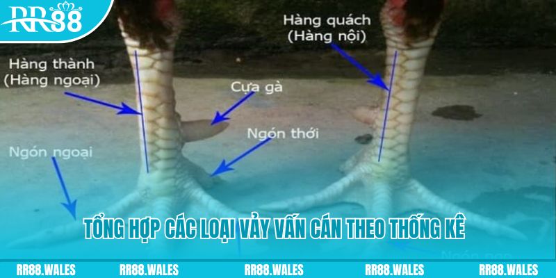 nohu club nổ hũ chơi như thế nào