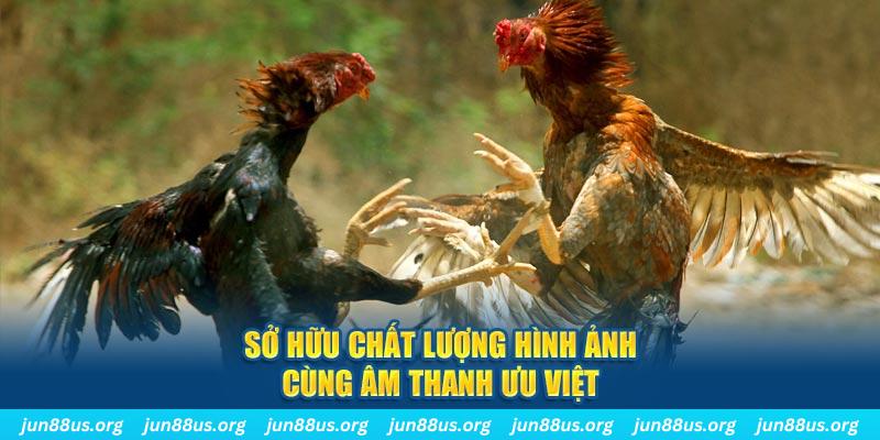nohu club tai game danh bai ve may tinh