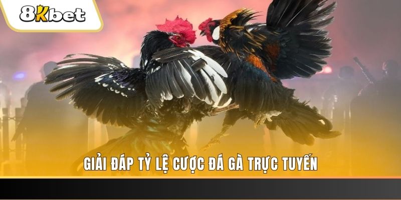 nohu club xổ số ba đài