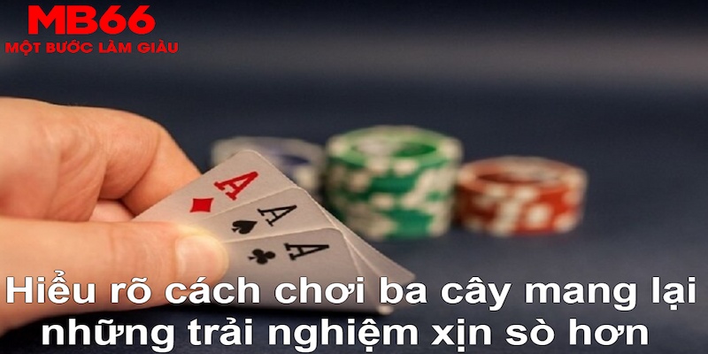 nohu club ÁT CHỦ BÀI GIÀNH LẤY ZHUANG NIUNIU ( XEM 3 LÁ )