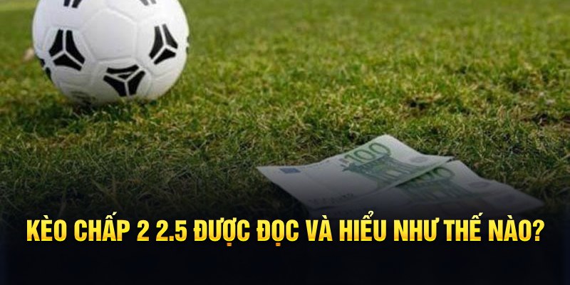 nohu club đá gà thomo