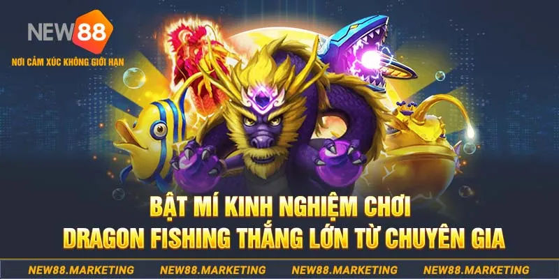 nohu club who wants to be a millionaire slot